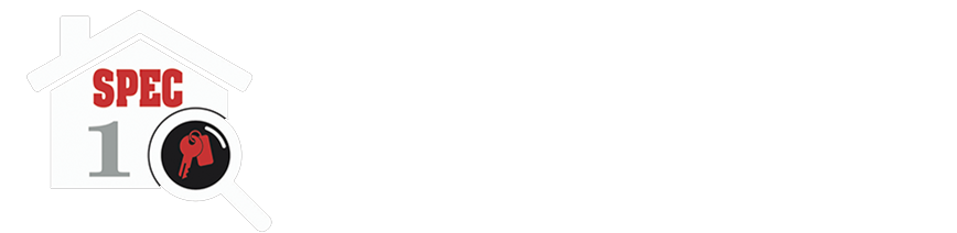 Spec 1 Inspections